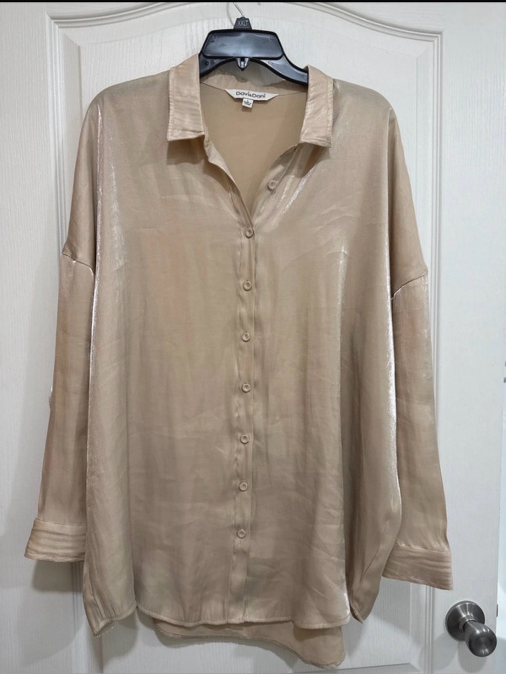 DAVI & DANI Shimmery Beige Button-Up Shirt